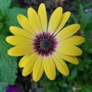 Meet your Posher, Joanna